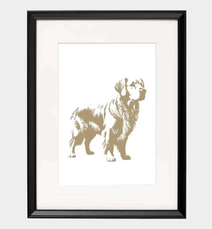 Golden Retriever - obrazek 4