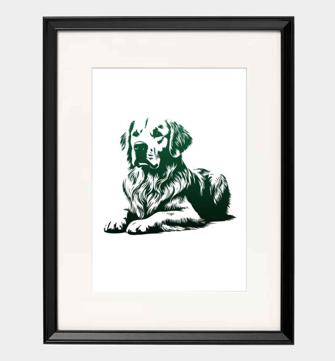 Golden retriever - obrazek 4
