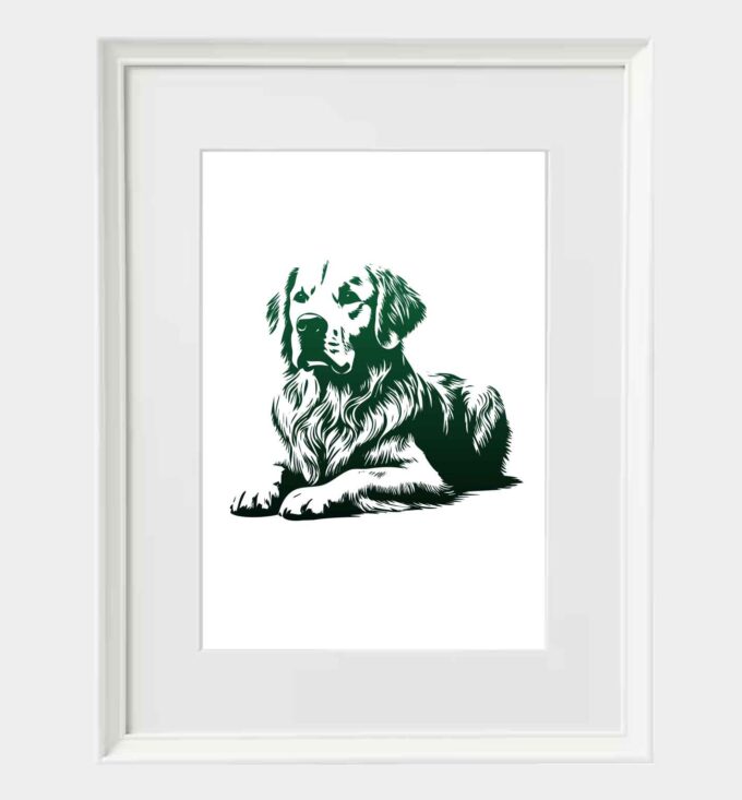 Golden retriever - obrazek 7