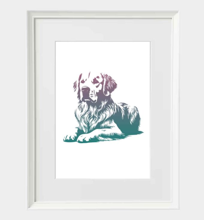 Golden retriever - obrazek 5