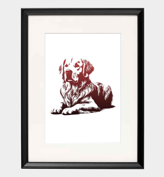 Golden retriever - obrazek 2