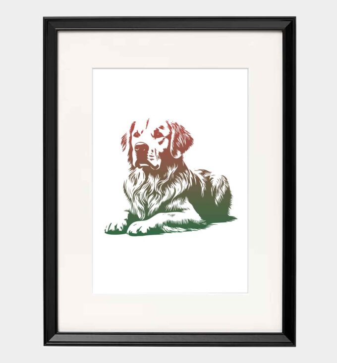 Golden retriever - obrazek 6