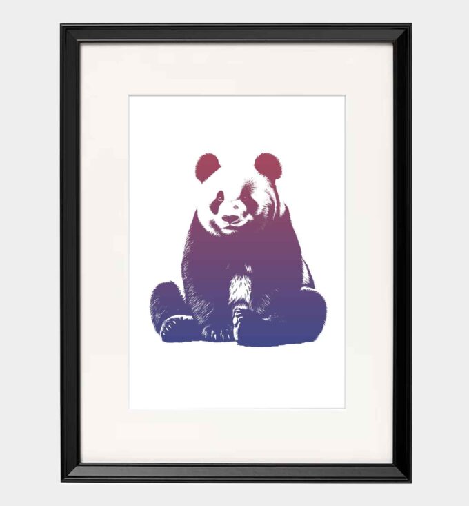 Panda - obrazek 6