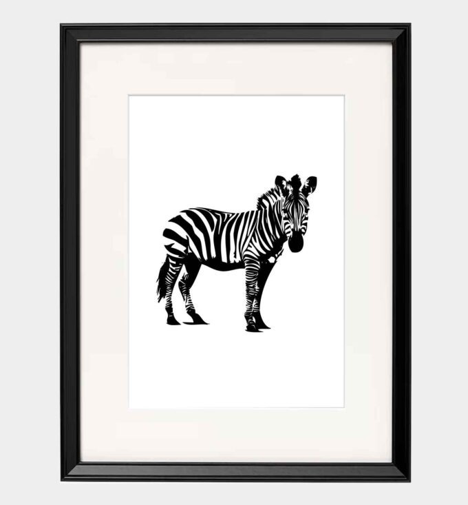 Zebra