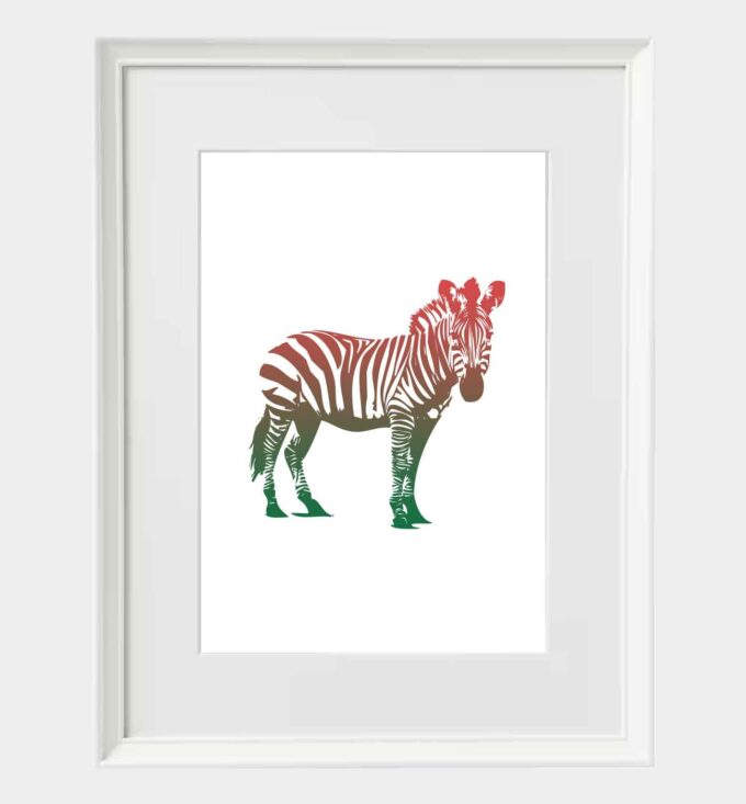 Zebra - obrazek 3