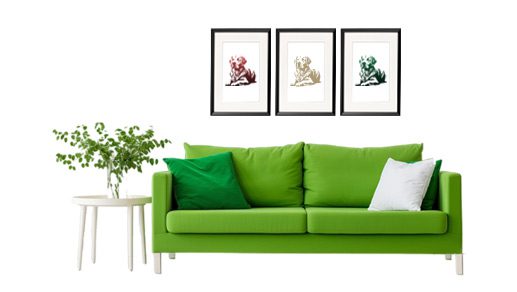 golden-retriver_sofa_zielona