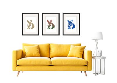 krolik_zolta_sofa