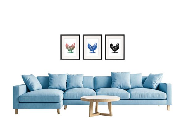 kurka_niebieska_sofa