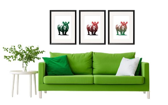 nosorozec_sofa