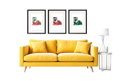 wydra_sofa