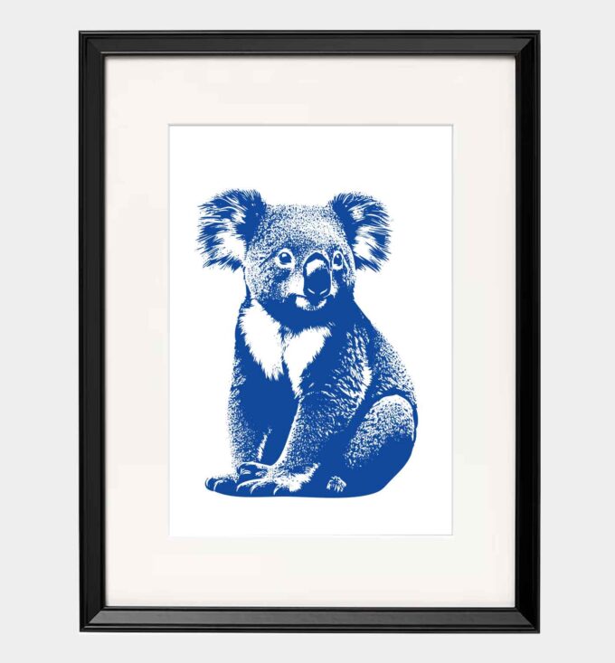 Koala - obrazek 4