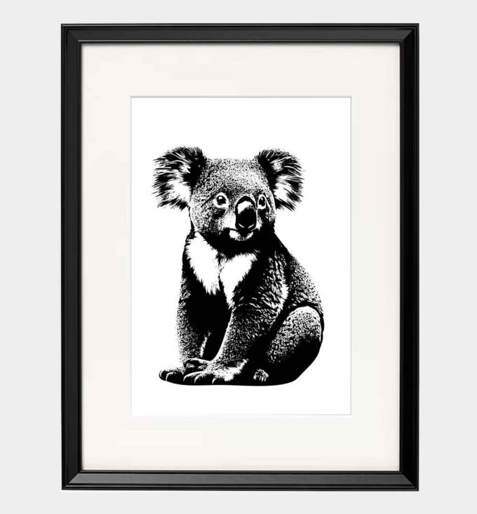 Koala