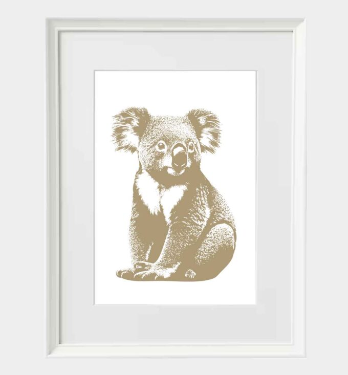 Koala - obrazek 3