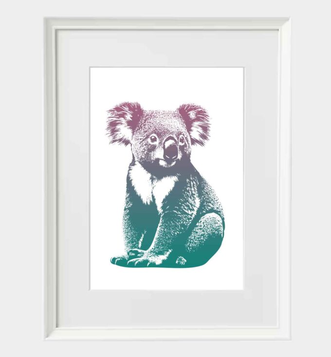 Koala - obrazek 5