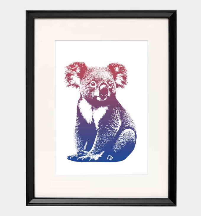 Koala - obrazek 2