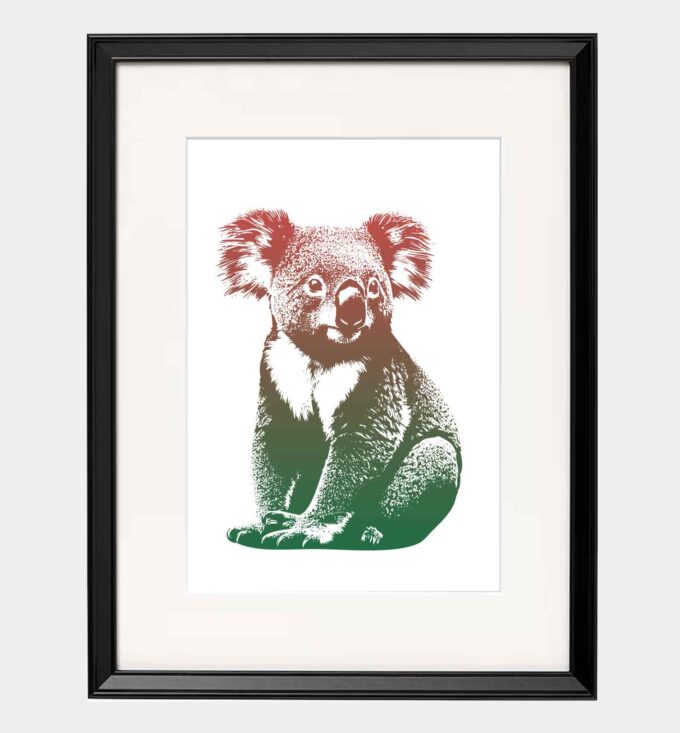Koala - obrazek 6
